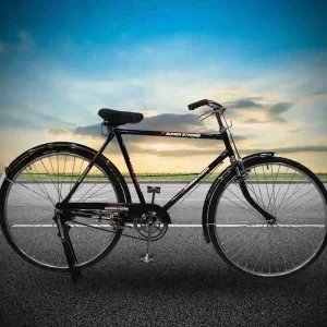 Mens bicycle