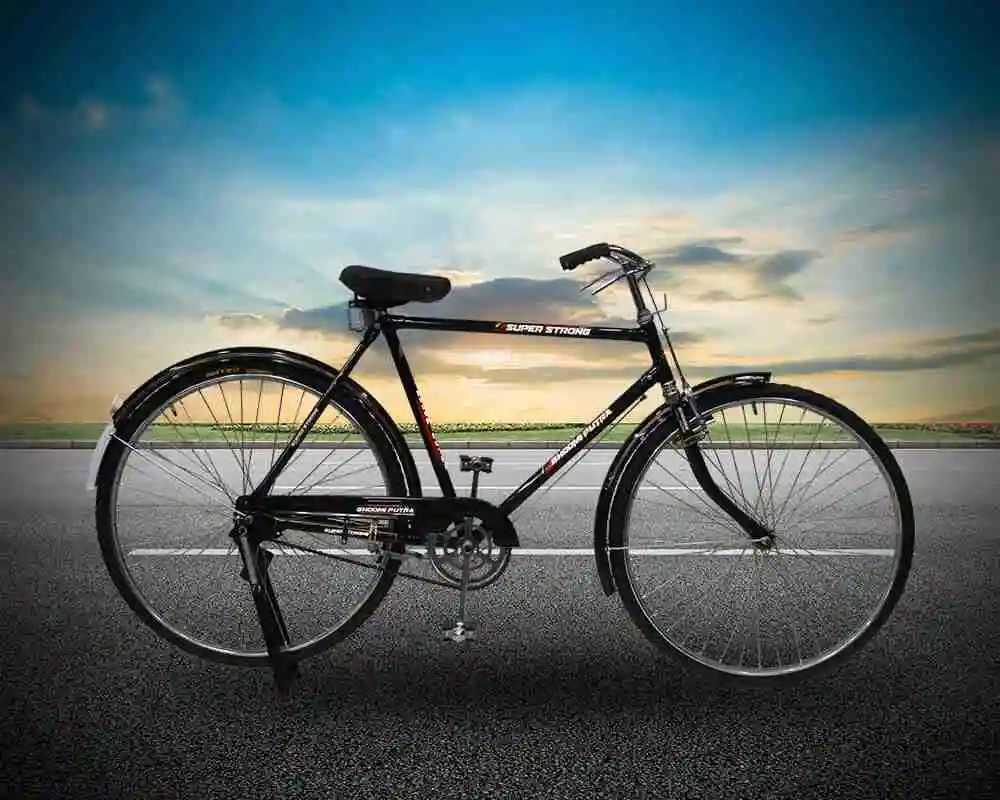 Mens bicycle